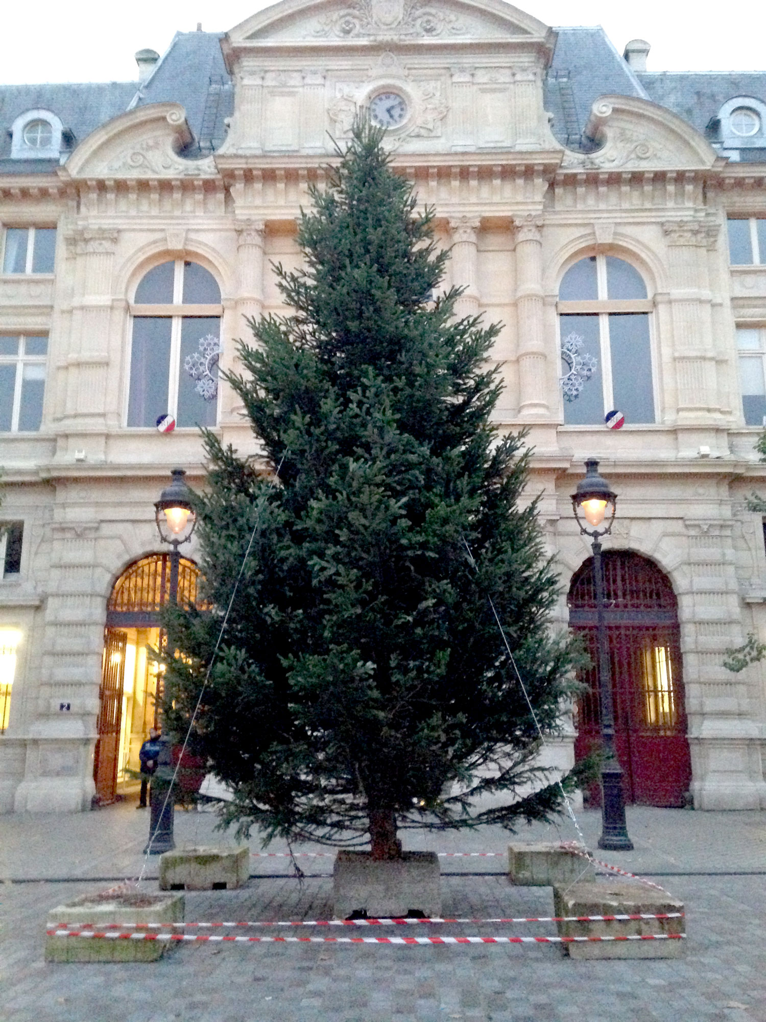 Les fêtes terminées, où peut-on jeter son sapin de Noël ? - Bourges (18000)